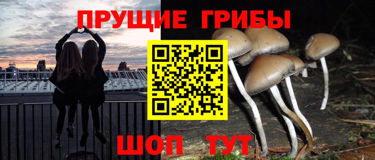 Псилоцибиновые грибы ЛСД  Галлюциногенные грибы Cubensis  Вход с VPN  Гудермес 
