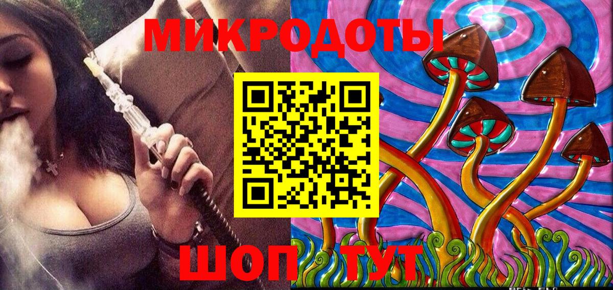 Псилоцибиновые грибы Psilocybe Гудермес