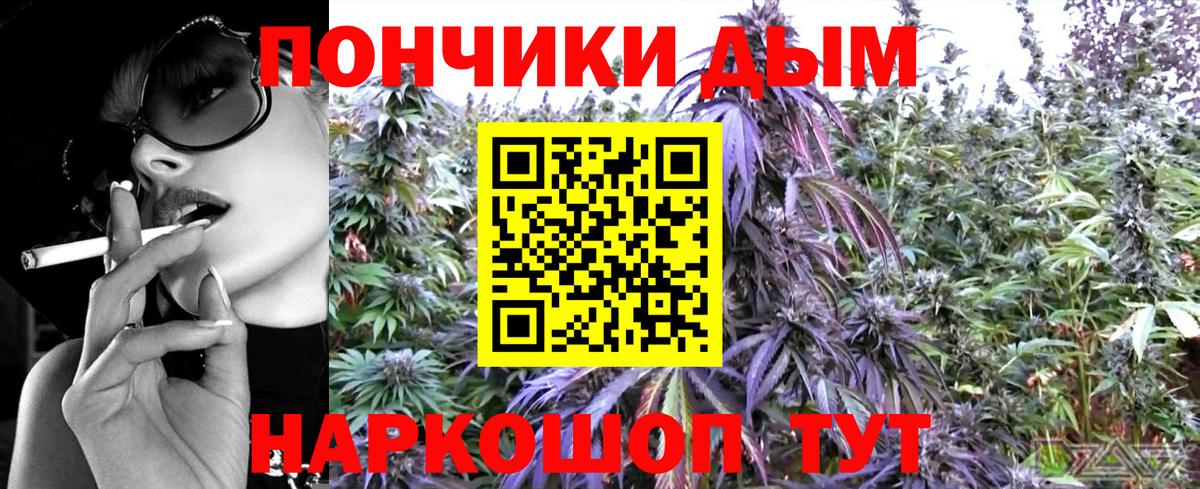 Канабис гибрид Гудермес